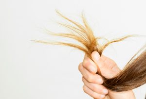 cabello